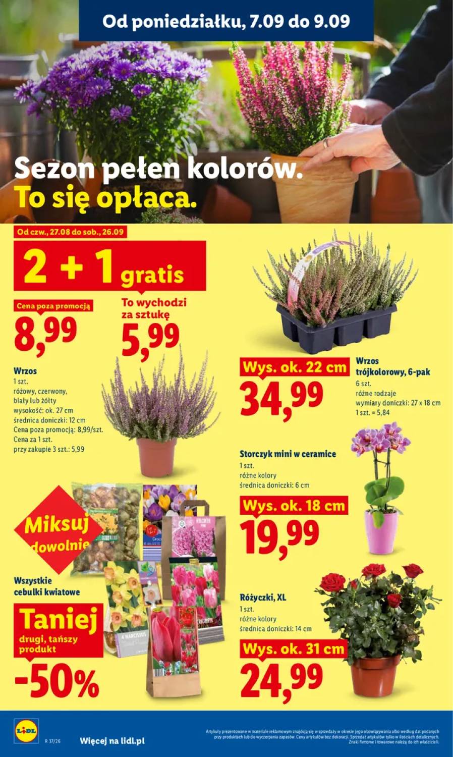Gazetka – strona 82