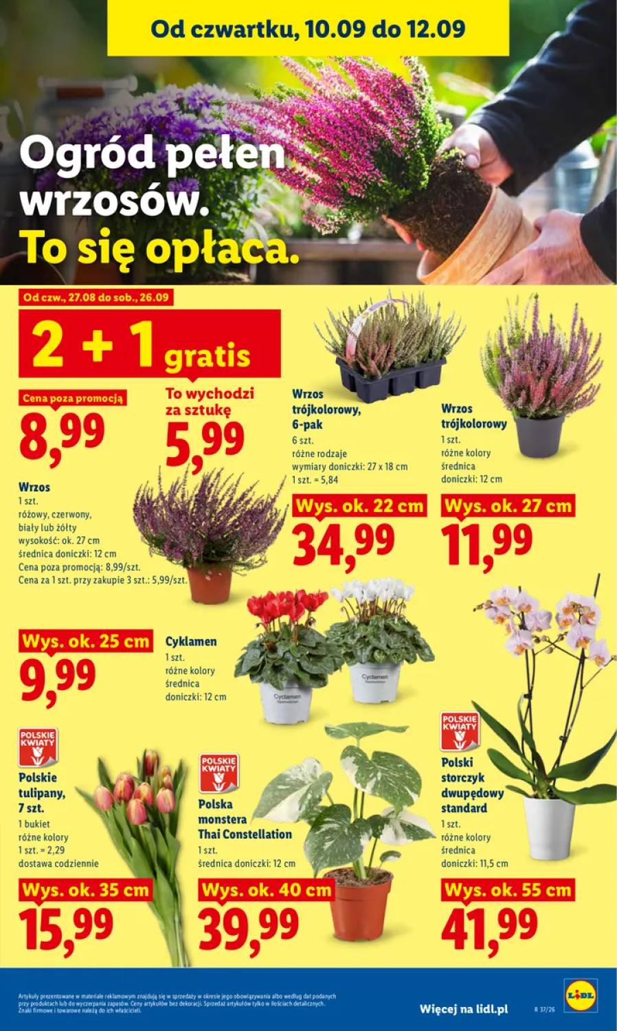 Gazetka – strona 83