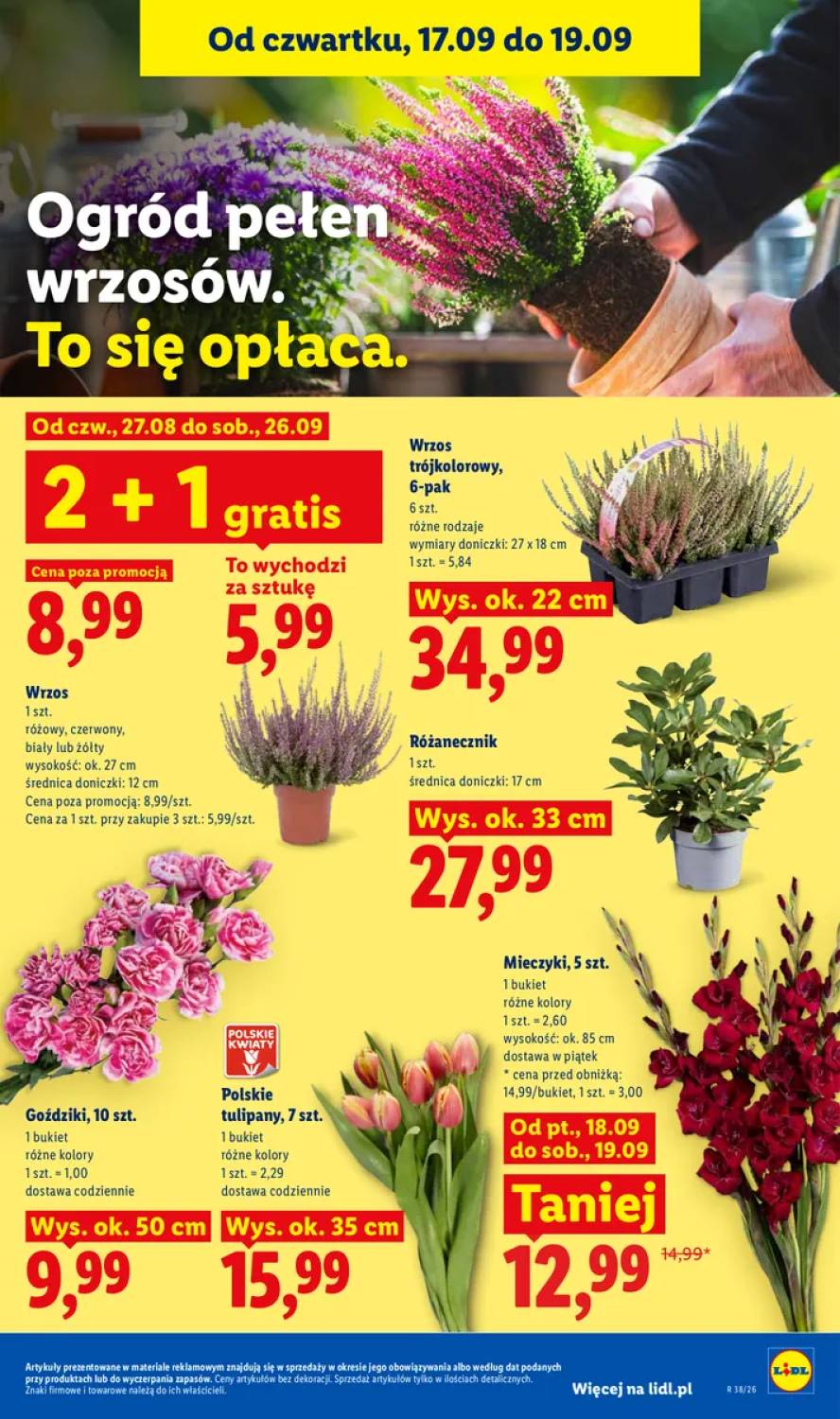 Gazetka – strona 85