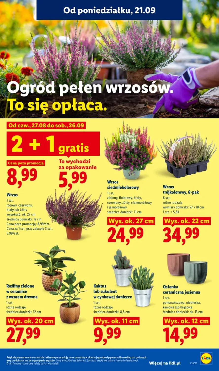 Gazetka – strona 91