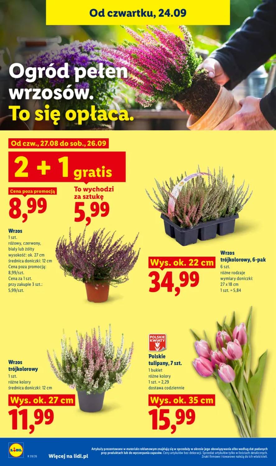 Gazetka – strona 100