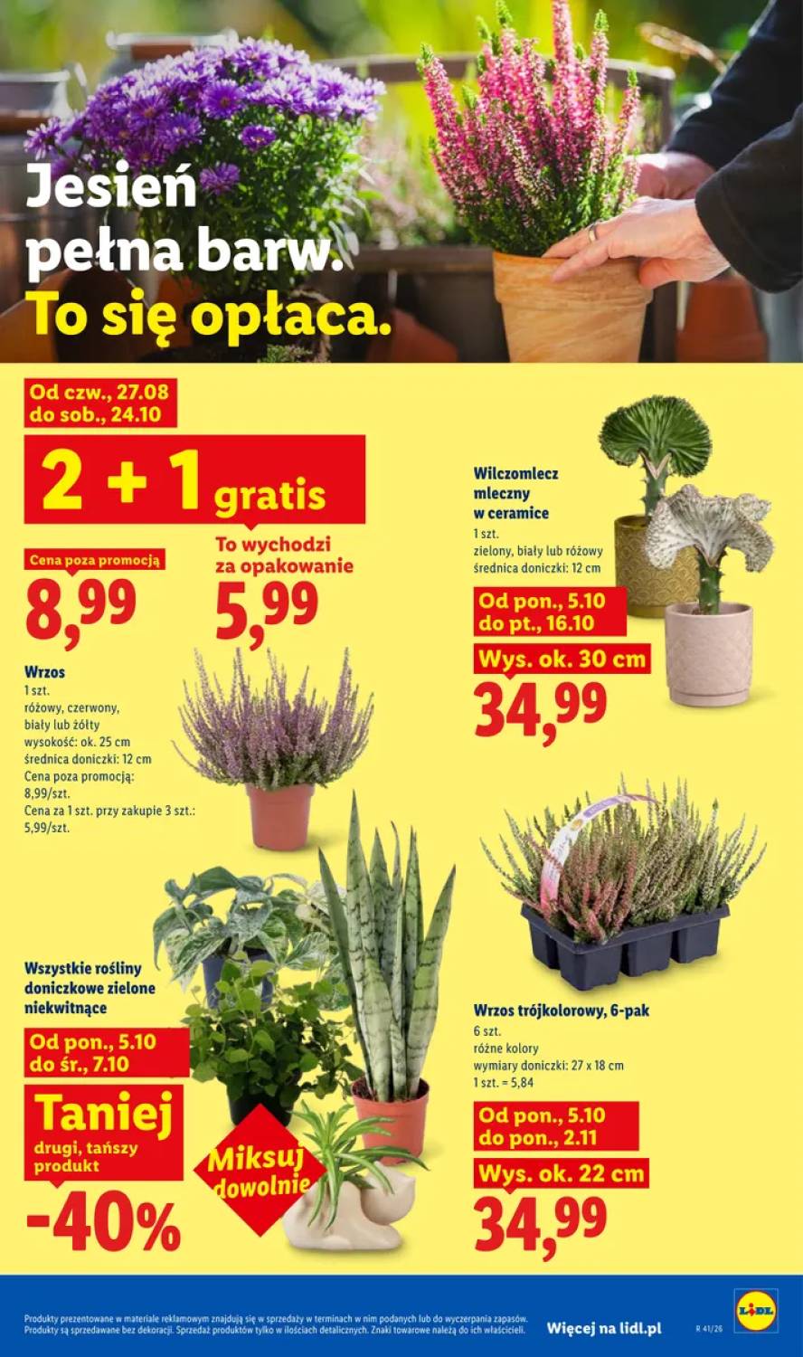 Gazetka – strona 89