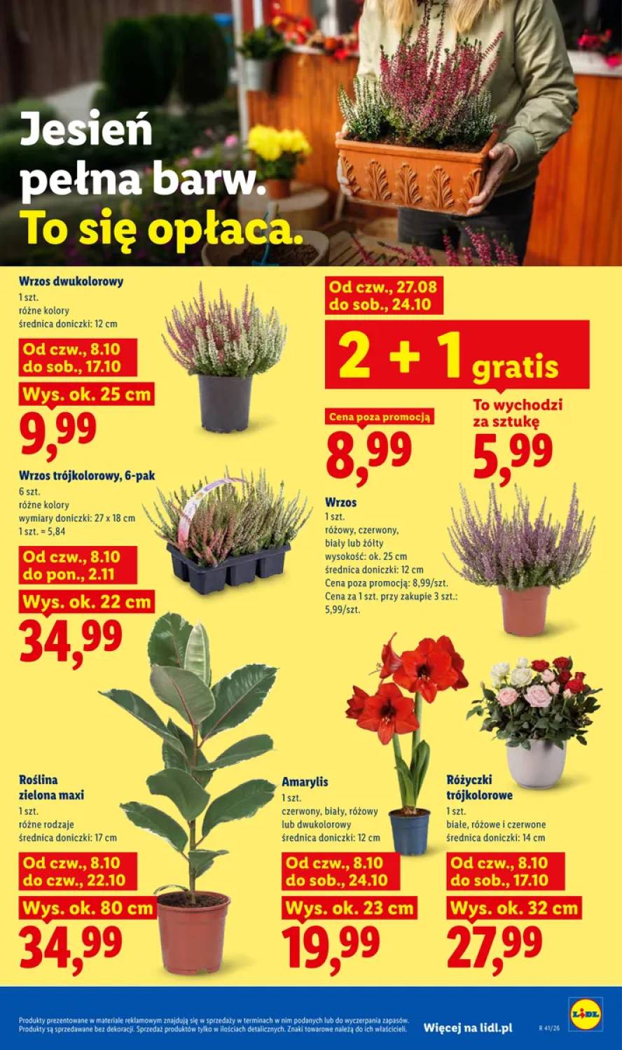Gazetka – strona 85