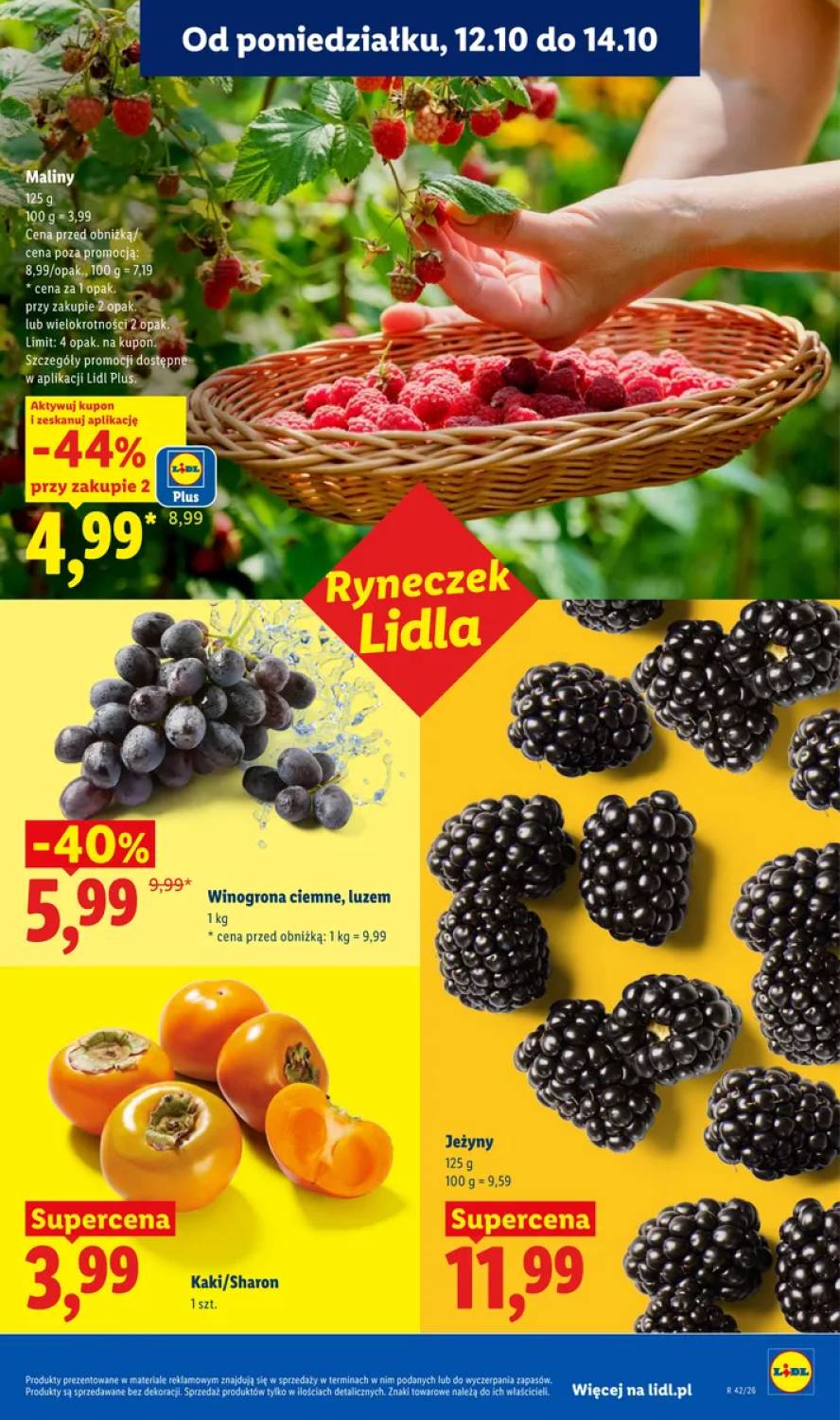 Gazetka – strona 51