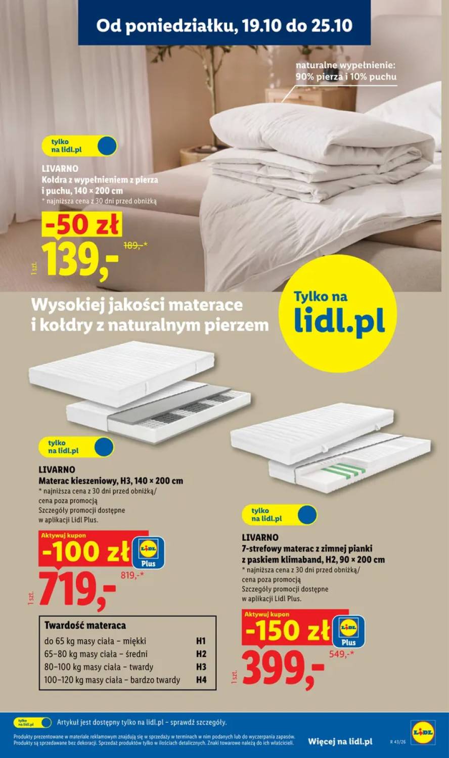 Gazetka – strona 31