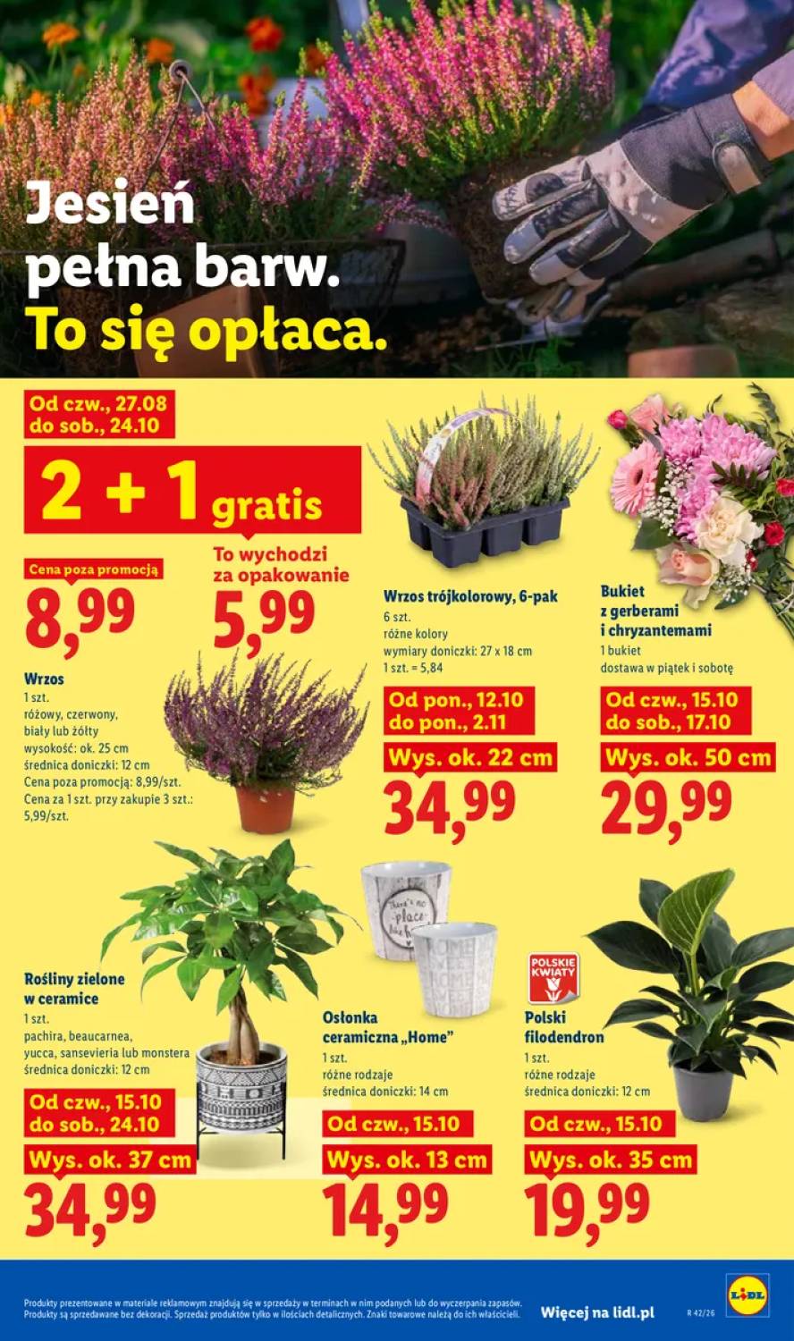 Gazetka – strona 105