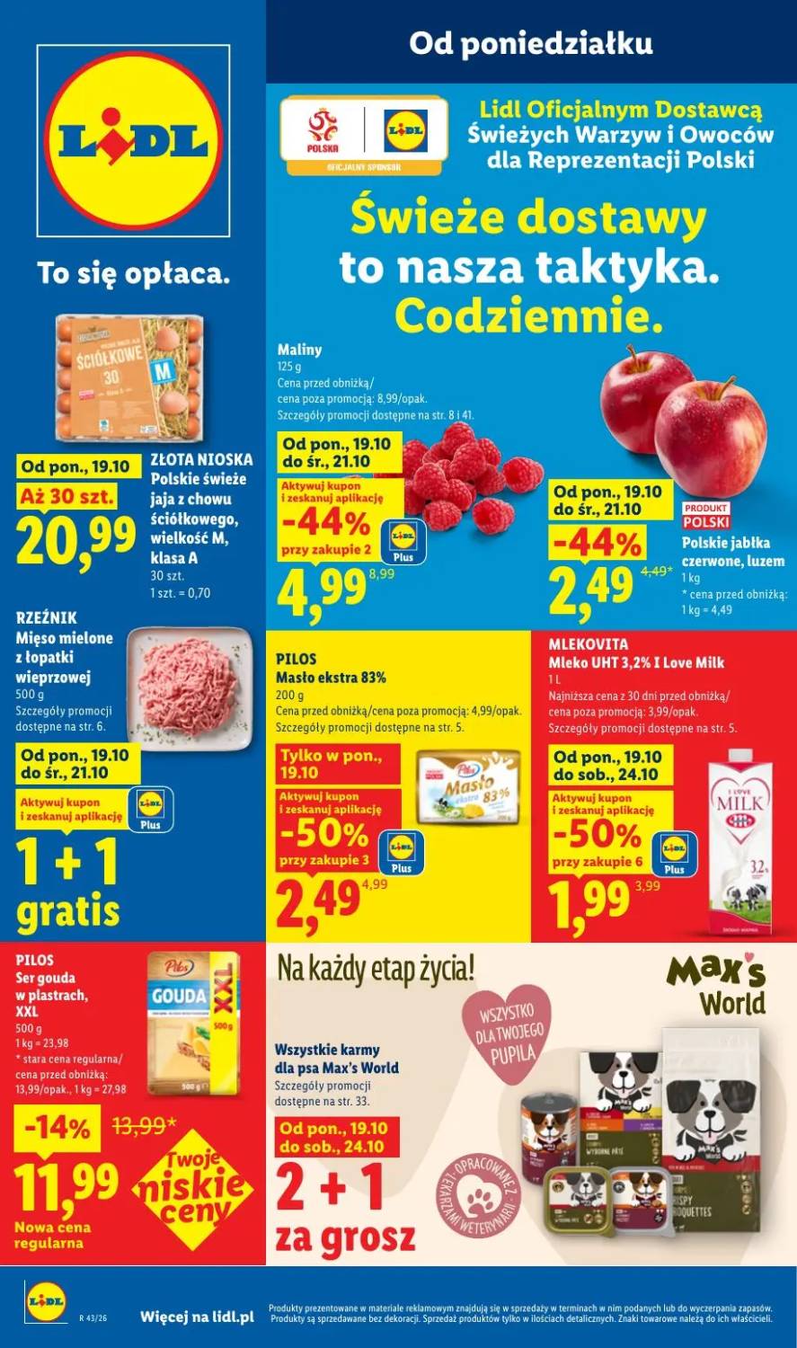 Gazetka – strona 1