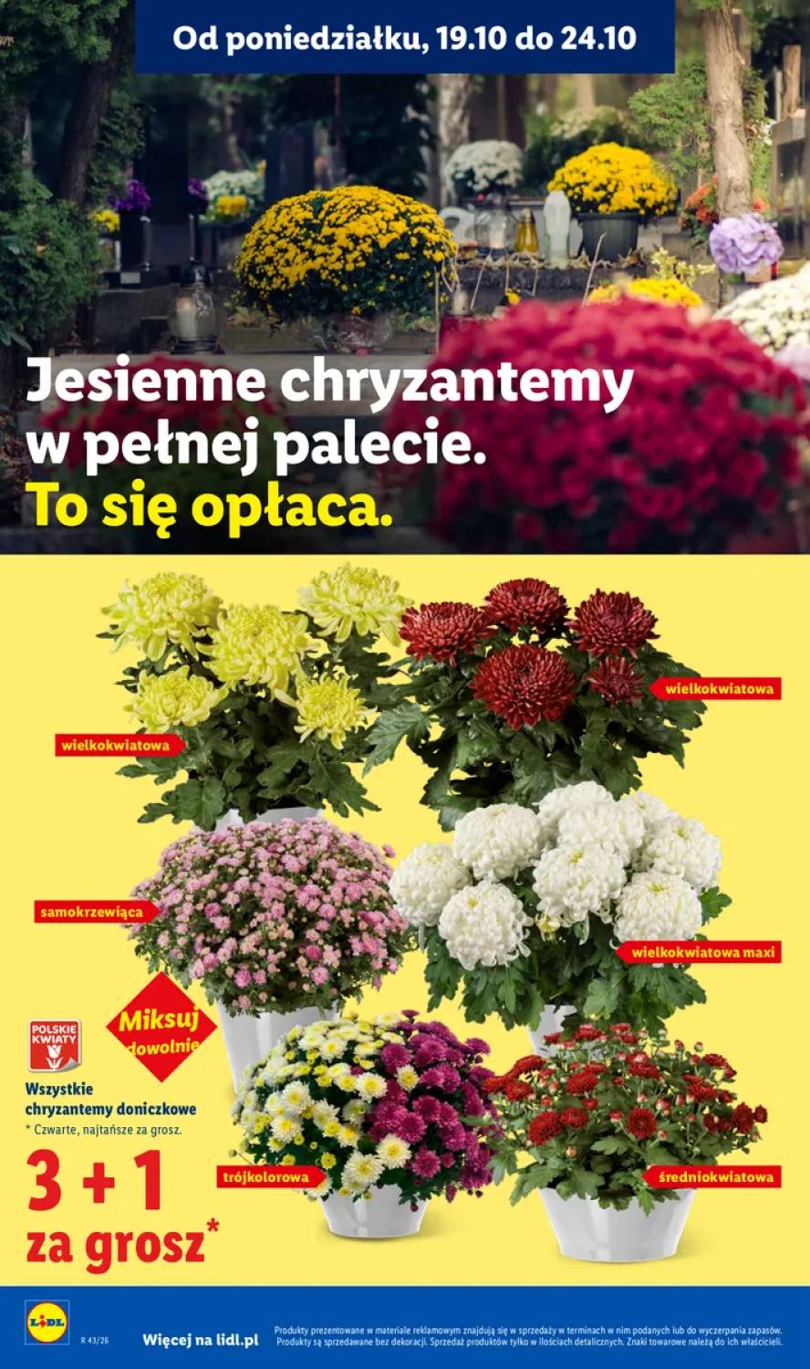 Gazetka – strona 102