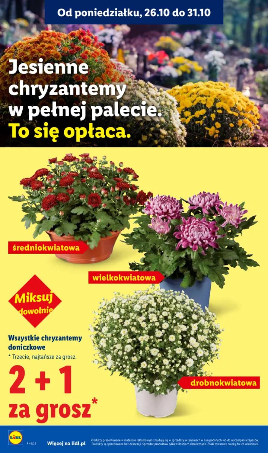 Gazetka – strona 44