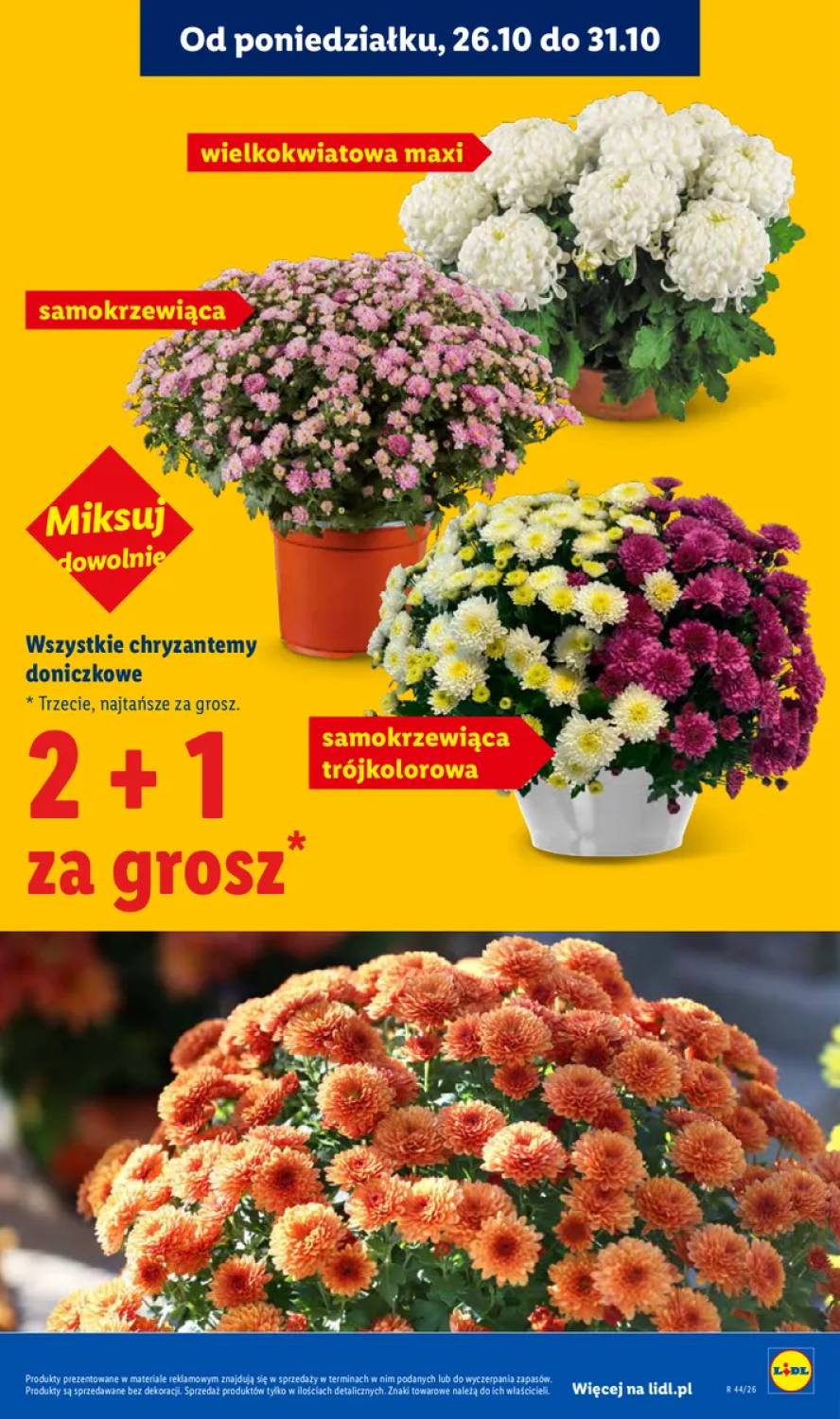 Gazetka – strona 45