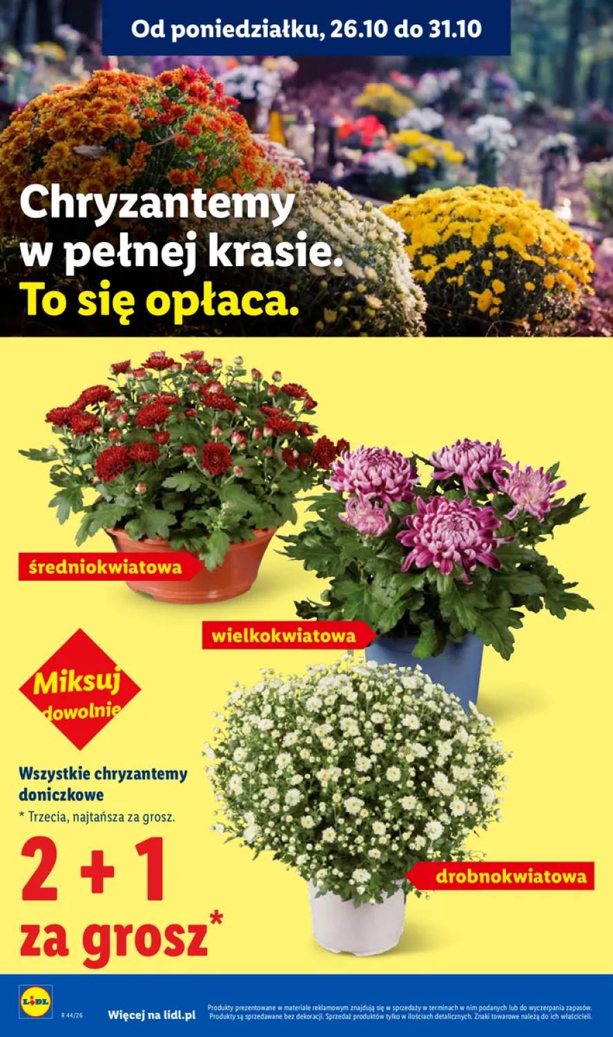 Gazetka – strona 4
