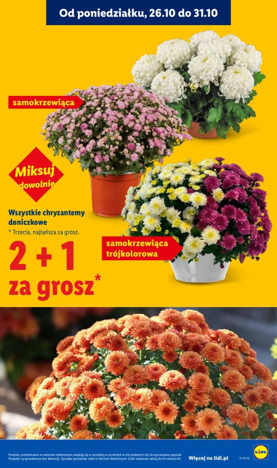 Gazetka – strona 5
